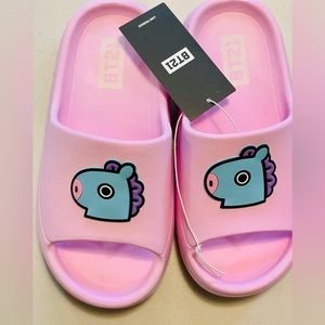 BT21 Line Friends Mang Slides (License)